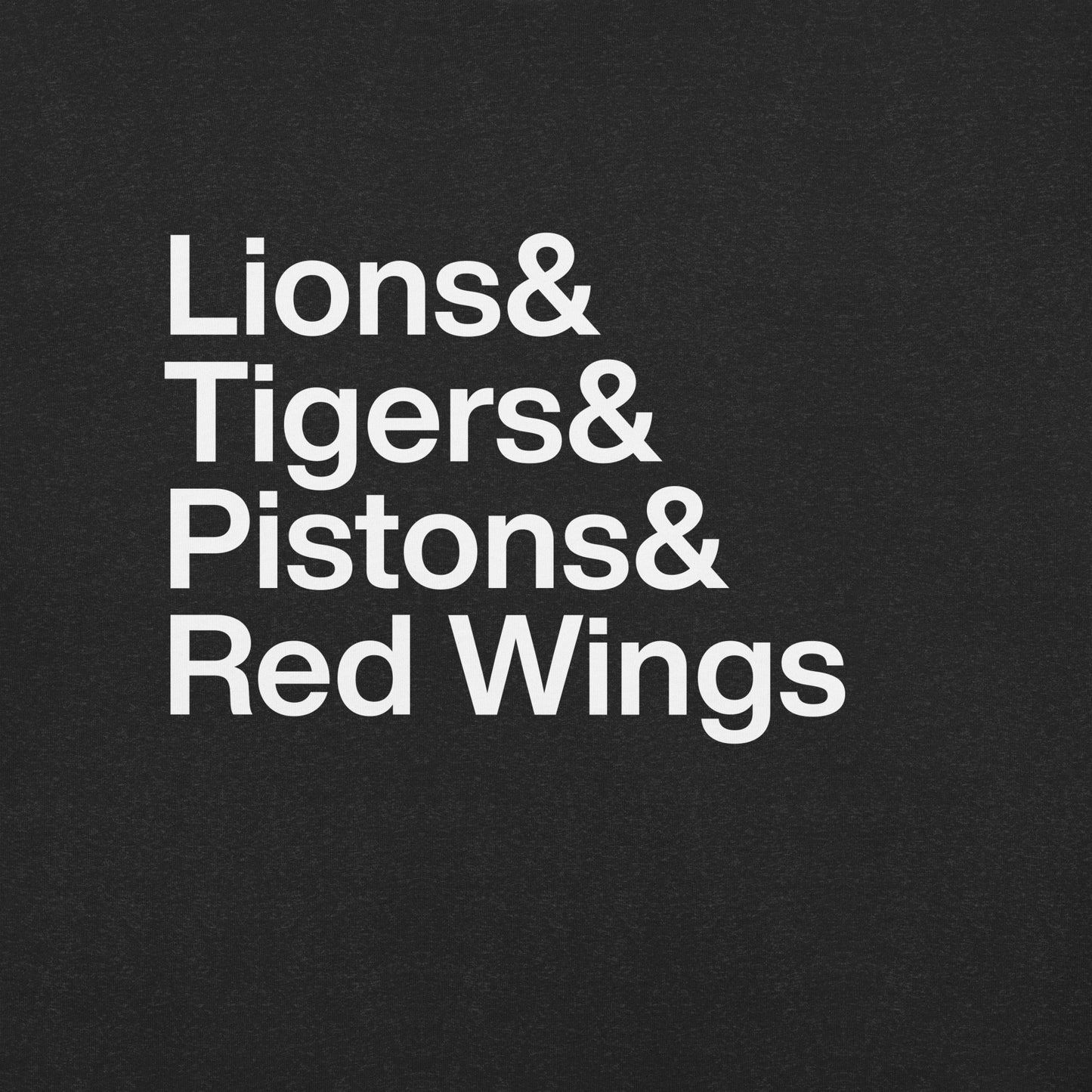 Zoomed in look at the text of a t-shirt which reads Lions and Tigers and Pistons and Red Wings